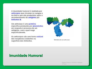 Magda Charrua  2010/2011 Biologia 12º ano  Imunidade Humoral 