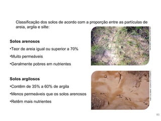 Aula 6º ano - Estrutura do planeta Terra, rochas e solos | PPT