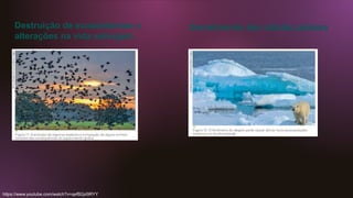 Destruição de ecossistemas e
alterações na vida selvagem
Derretimento das calotas polares
https://www.youtube.com/watch?v=qefB2pI9RYY
 