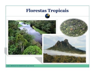 Florestas Tropicais

Aula 6: BIOMAS E ECOSSISTEMAS AQUÁTICOS

 