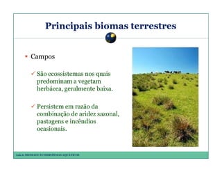 Principais biomas terrestres

Campos
São ecossistemas nos quais
predominam a vegetam
herbácea, geralmente baixa.
Persistem em razão da
combinação de aridez sazonal,
pastagens e incêndios
ocasionais.

Aula 6: BIOMAS E ECOSSISTEMAS AQUÁTICOS

 