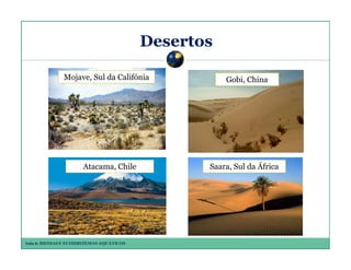 Desertos
Mojave, Sul da Califónia

Atacama, Chile

Aula 6: BIOMAS E ECOSSISTEMAS AQUÁTICOS

Gobi, China

Saara, Sul da África

 
