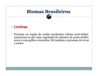 Biomas Brasileiros

Caatinga
Presente na região do sertão nordestino (clima semi-árido),
caracteriza-se por uma vegetação de arbustos de porte médio,
secos e com galhos retorcidos. Há também a presença de ervas
e cactos.

 