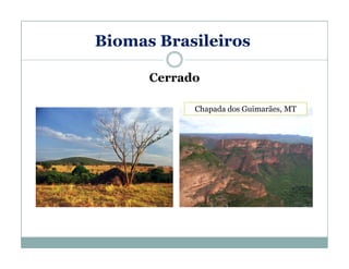 Biomas Brasileiros
Cerrado
Chapada dos Guimarães, MT

 