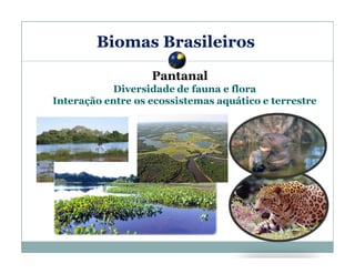 Biomas Brasileiros
Pantanal
Diversidade de fauna e flora
Interação entre os ecossistemas aquático e terrestre

 