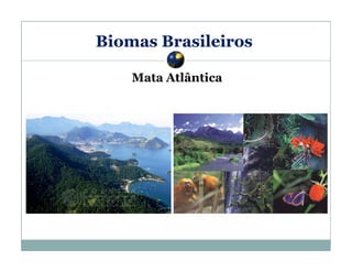 Biomas Brasileiros
Mata Atlântica

 