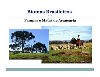 Biomas Brasileiros
Pampas e Matas de Araucária

 