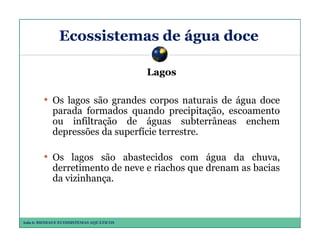 Ecossistemas de água doce
Lagos

• Os lagos são grandes corpos naturais de água doce
parada formados quando precipitação, escoamento
ou infiltração de águas subterrâneas enchem
depressões da superfície terrestre.

• Os lagos são abastecidos com água da chuva,
derretimento de neve e riachos que drenam as bacias
da vizinhança.

Aula 6: BIOMAS E ECOSSISTEMAS AQUÁTICOS

 
