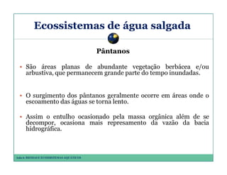 Ecossistemas de água salgada
Pântanos
São áreas planas de abundante vegetação berbácea e/ou
arbustiva, que permanecem grande parte do tempo inundadas.

O surgimento dos pântanos geralmente ocorre em áreas onde o
escoamento das águas se torna lento.
Assim o entulho ocasionado pela massa orgânica além de se
decompor, ocasiona mais represamento da vazão da bacia
hidrográfica.

Aula 6: BIOMAS E ECOSSISTEMAS AQUÁTICOS

 