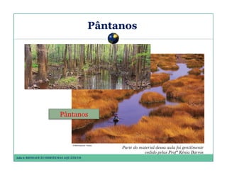 Pântanos

Pântanos

Parte do material dessa aula foi gentilmente
cedido pelas Profª Kénia Barros
Aula 6: BIOMAS E ECOSSISTEMAS AQUÁTICOS

 