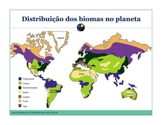 Distribuição dos biomas no planeta

Floresta pluvial
Campos
Floresta temperada
Deserto
Chapada
Trunda
Taiga
Aula 6: BIOMAS E ECOSSISTEMAS AQUÁTICOS

 