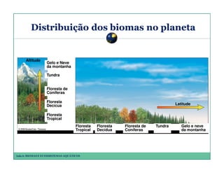 Distribuição dos biomas no planeta

Altitude

Gelo e Neve
da montanha
Tundra
Floresta de
Coníferas
Floresta
Decícua

Latitude

Floresta
Tropical
Floresta
Tropical

Aula 6: BIOMAS E ECOSSISTEMAS AQUÁTICOS

Floresta
Decídua

Floresta de
Coníferas

Tundra

Gelo e neve
da montanha

 