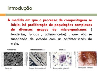 Introdução
À medida em que o processo de compostagem se
inicia, há proliferação de populações complexas
de diversos grupos de microrganismos (
bactérias, fungos , actinomicetos) , que vão se
sucedendo de acordo com as características do
meio.

 