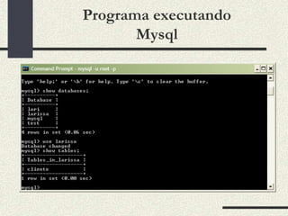 Programa executando
       Mysql
 