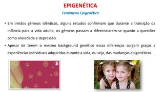 • Em irmãos gêmeos idênticos, alguns estudos confirmam que durante a transição da
infância para a vida adulta, os gêmeos passam a diferenciarem-se quanto a questões
como ansiedade e depressão
• Apesar de terem o mesmo background genético essas diferenças surgem graças a
experiências individuais adquiridas durante a vida, ou seja, das mudanças epigenéticas.
EPIGENÉTICA
Fenômeno Epigenético
 