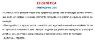 • A metilação é o principal mecanismo epigenético, sendo uma modificação química no DNA
que pode ser herdada e subsequentemente removida, sem alterar a sequência original da
molécula.
• Na epigenética, um grupo metil é transferido para algumas bases de citosina do DNA, sendo
esse processo fundamental para "desligar" os genes que provocam alterações na transcrição
genética. Duas enzimas são responsáveis por controlar o mecanismo de metilação:
• DNMT3A e DNMT3B.
EPIGENÉTICA
Metilação no DNA
 