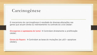 Carcinogênese
O mecanismo de carcinogênese é resultado de diversas alterações nos
genes que atuam direta ou indiretamente no controle do ciclo celular:
Oncogenes e supressores de tumor  Controlam diretamente a proliferação
celular;
Genes de Reparo  Controlam as taxas de mutações (ex: p53 – apoptose
celular);
 