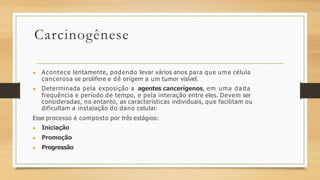 Carcinogênese
▶ Acontece lentamente, podendo levar vários anos para que uma célula
cancerosa se prolifere e dê origem a um tumor visível.
▶ Determinada pela exposição a agentes cancerígenos, em uma dada
frequência e período de tempo, e pela interação entre eles. Devem ser
consideradas, no entanto, as características individuais, que facilitam ou
dificultam a instalação do dano celular.
Esse processo é composto por três estágios:
▶ Iniciação
▶ Promoção
▶ Progressão
 