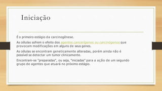 Iniciação
É o primeiro estágio da carcinogênese.
As células sofrem o efeito dos agentes cancerígenos ou carcinógenos que
provocam modificações em alguns de seus genes.
As células se encontram geneticamente alteradas, porém ainda não é
possível se detectar um tumor clinicamente.
Encontram-se "preparadas", ou seja, "iniciadas" para a a ç ã o de um segundo
grupo de agentes que atuará no próximo estágio.
 