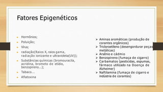 Fatores Epigenéticos
▶ Hormônios;
▶ Poluição;
▶ Vírus;
▶ radiação(Raios X, raios gama,
radiação ionizante e ultravioleta(UV));
▶ Substâncias químicas (bromouracila,
acridina, brometo de etídio,
benzopireno...);
▶ Tabaco...
▶ Aflatoxina
 Aminas aromáticas (produção de
corantes orgânicos)
 Tricloroetileno (desengordurar peças
metálicas)
 Arsênio e cádmio
 Benzopireno (fumaça de cigarro)
 Carbamatos (pesticidas, espumas,
fármaco utilizado na Doença de
Alzheimer)
 Naftilamina (fumaça de cigarro e
indústria de corantes)
 