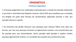 • A herança epigenética traz implicações profundas para o estudo da evolução reforçando
o que dizia o naturalista Jean Baptiste Lamarck, século XVIII que acreditava que a evolução
era dirigida em parte pela herança de características adquiridas durante a vida. Seu
exemplo clássico é a girafa.
• Os ancestrais das girafas forçaram seus pescoços para alcançar folhas mais altas nas
árvores, por isso seus pescoços tornaram-se ligeiramente maiores, uma característica que
foi passada para seus descendentes. Assim, geração após geração a espécie herdou
pescoços ligeiramente maiores, e o resultado são as girafas que conhecemos hoje.
EPIGENÉTICA
Fenômeno Epigenético
 