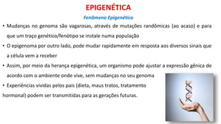 • Mudanças no genoma são vagarosas, através de mutações randômicas (ao acaso) e para
que um traço genético/fenótipo se instale numa população
• O epigenoma por outro lado, pode mudar rapidamente em resposta aos diversos sinais que
a célula vem a receber
• Assim, por meio da herança epigenética, um organismo pode ajustar a expressão gênica de
acordo com o ambiente onde vive, sem mudanças no seu genoma
• Experiências vividas pelos pais (dieta, maus tratos, tratamento
hormonal) podem ser transmitidas para as gerações futuras.
EPIGENÉTICA
Fenômeno Epigenético
 