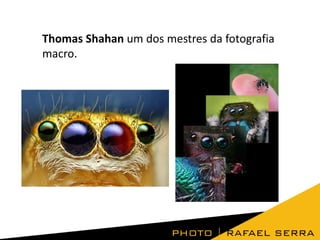 Thomas Shahan um dos mestres da fotografia
macro.

 