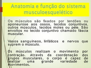 • Os músculos são fixados por tendões ou
aponeurose aos ossos, tecidos conjuntivos,
outros músculos, tecidos moles ou pele. São
envoltos no tecido conjuntivo chamado fáscia
muscular.
• Vasos sanguíneos, linfáticos e nervos que
suprem o músculo.
•
contração. Através da coordenação
grupos musculares, o corpo é capaz
realizar uma grande variedade
Os músculos realizam o movimento por
dos
de
de
movimentos.
 