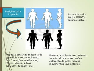Assimentria dos
MMII e MMMSS,
coluna e pelve.
Inspeção estática: anatomia de
superfície - reconhecimento
das formações anatômicas,
tuberosidades, sulcos,
músculos, tendões, etc.
Posições para
inspeção
Postura, abaulamentos, edemas,
funções do membro, lesões,
coloração da pele, marcha,
movimentos involuntários.
 