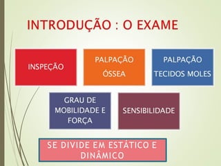 SE DIVIDE EM ESTÁTICO E
DINÂMICO
 