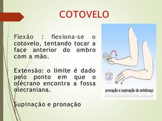 • Flexão : flexiona-se o
cotovelo, tentando tocar a
face anterior do ombro
com a mão.
• Extensão: o limite é dado
pelo ponto em que o
olécrano encontra a fossa
olecraniana.
• Supinação e pronação
 