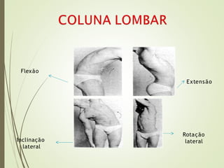 Flexão
Inclinação
lateral
Extensão
Rotação
lateral
 