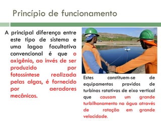 Princípio de funcionamento
A principal diferença entre
este tipo de sistema e
uma lagoa facultativa
convencional é que o
oxigênio, ao invés de ser
produzido
por
fotossíntese
realizada
pelas algas, é fornecido
por
aeradores
mecânicos.

Estes
constituem-se
de
equipamentos
providos
de
turbinas rotativas de eixo vertical
que
causam
um
grande
turbilhonamento na água através
de
rotação em grande
velocidade.

 