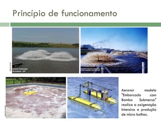 aerovor.com.br

higra.com.br

Princípio de funcionamento

Aerovor
modelo
"Embarcado
com
Bomba
Submersa"
realiza a oxigenação
Intensiva e produção
de micro bolhas.

 