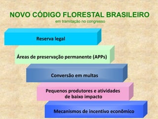 Prof. MSc Sionara Okada
Reserva legal
Áreas de preservação permanente (APPs)
Conversão em multas
Pequenos produtores e atividades
de baixo impacto
Mecanismos de incentivo econômico
NOVO CÓDIGO FLORESTAL BRASILEIRO
em tramitação no congresso
 