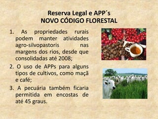 Reserva Legal e APP´s
NOVO CÓDIGO FLORESTAL
1. As propriedades rurais
podem manter atividades
agro-silvopastoris nas
margens dos rios, desde que
consolidadas até 2008;
2. O uso de APPs para alguns
tipos de cultivos, como maçã
e café;
3. A pecuária também ficaria
permitida em encostas de
até 45 graus.
 