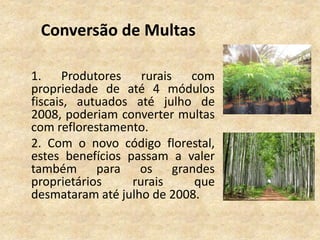Conversão de Multas
1. Produtores rurais com
propriedade de até 4 módulos
fiscais, autuados até julho de
2008, poderiam converter multas
com reflorestamento.
2. Com o novo código florestal,
estes benefícios passam a valer
também para os grandes
proprietários rurais que
desmataram até julho de 2008.
 