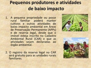 Pequenos produtores e atividades
de baixo impacto
1. A pequena propriedade ou posse
rural familiar poderá manter
cultivos e outras atividades de
baixo impacto ambiental em Áreas
de Preservação Permanente (APPs)
e de reserva legal, desde que o
imóvel esteja inscrito no Cadastro
Ambiental Rural (CAR) e que as
atividades sejam declaradas ao
órgão ambiental.
2. O registro da reserva legal no CAR
será gratuito para as unidades rurais
familiares.
 