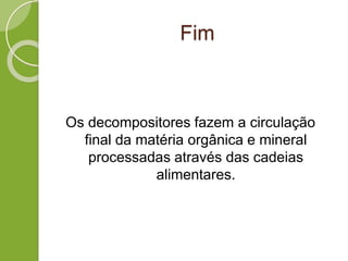Fim
Os decompositores fazem a circulação
final da matéria orgânica e mineral
processadas através das cadeias
alimentares.
 