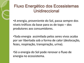 Fluxo Energético dos Ecossistemas
Unidireccional
•A energia, proveniente do Sol, passa sempre dos
níveis tróficos da base para os de topo – dos
produtores aos consumidores.
•Toda energia assimilada pelos seres vivos acaba
por ser libertada sob a forma de calor (deslocação,
fezes, respiração, transpiração, urina).
•Só a energia do Sol pode renovar o fluxo de
energia no ecossistema.
 
