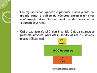  Em alguns casos, quando o produtor é uma planta de
grande porte, o gráfico de números passa a ter uma
conformação diferente da usual, sendo denominado
“pirâmide invertida”.
 Outro exemplo de pirâmide invertida é dada quando a
pirâmide envolve parasitas, sendo assim os últimos
níveis tróficos mais numerosos.
 