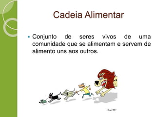 Cadeia Alimentar
 Conjunto de seres vivos de uma
comunidade que se alimentam e servem de
alimento uns aos outros.
 