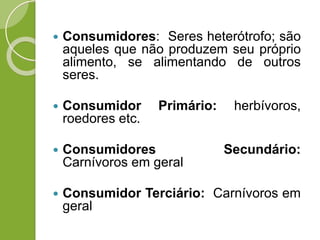  Consumidores: Seres heterótrofo; são
aqueles que não produzem seu próprio
alimento, se alimentando de outros
seres.
 Consumidor Primário: herbívoros,
roedores etc.
 Consumidores Secundário:
Carnívoros em geral
 Consumidor Terciário: Carnívoros em
geral
 