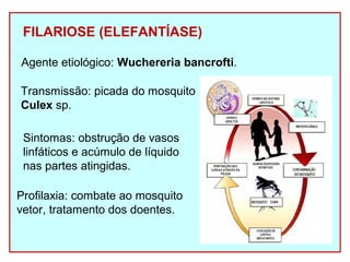 FILARIOSE (ELEFANTÍASE) 
Agente etiológico: Wuchereria bancrofti. 
Transmissão: picada do mosquito 
Culex sp. 
Sintomas: obstrução de vasos 
linfáticos e acúmulo de líquido 
nas partes atingidas. 
Profilaxia: combate ao mosquito 
vetor, tratamento dos doentes. 
