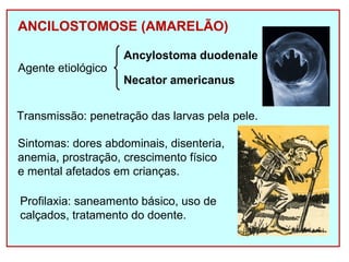 ANCILOSTOMOSE (AMARELÃO) 
Agente etiológico 
Ancylostoma duodenale 
Necator americanus 
Transmissão: penetração das larvas pela pele. 
Sintomas: dores abdominais, disenteria, 
anemia, prostração, crescimento físico 
e mental afetados em crianças. 
Profilaxia: saneamento básico, uso de 
calçados, tratamento do doente. 
 
