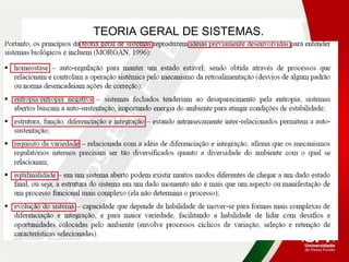 TEORIA GERAL DE SISTEMAS.
 