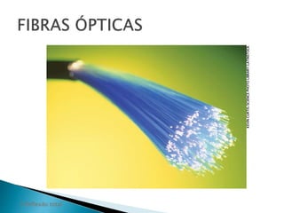 KEVIN CURTIS/SCIENCE PHOTO LIBRARY/LATINSTOCK 
2 Reflexão total 
 