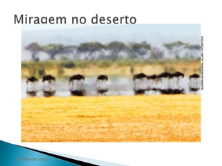 MAXIMILIAN WEINZIERL/ALAMY/LATINSTOCK 
2 Reflexão total 
 