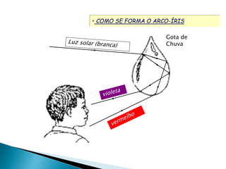 • COMO SE FORMA O ARCO-ÍRIS 
Gota de 
Chuva 
 