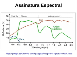 Assinatura Espectral
https://grindgis.com/remote-sensing/vegetation-spectral-signature-cheat-sheet
 